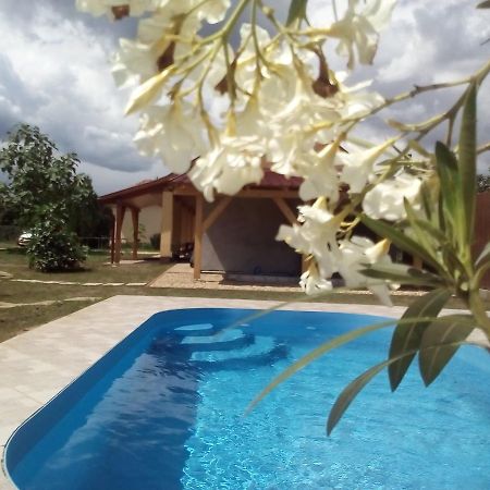 Potyka Apartman Тисафюред Экстерьер фото